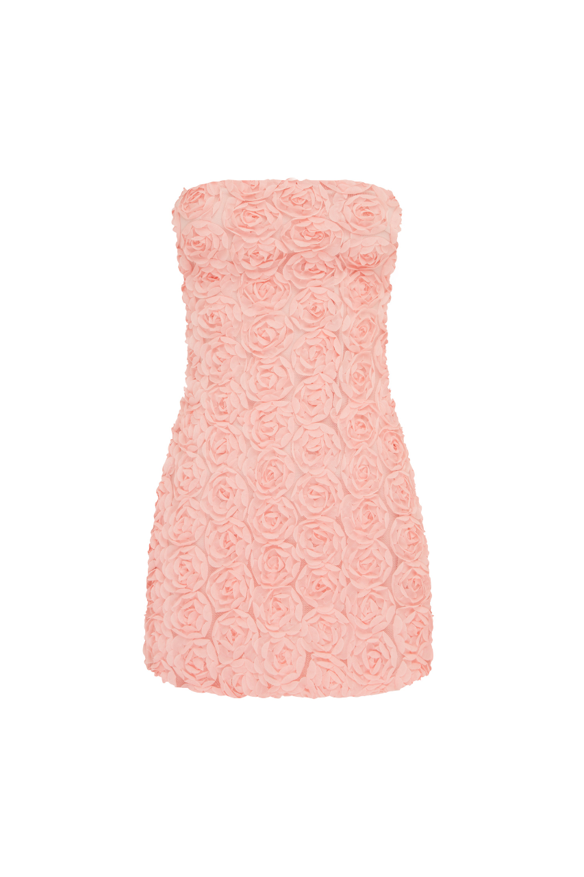 ROSALINE MINI DRESS - PINK - 2_373f4841-fbe9-48d2-8b2c-b613998bde97
