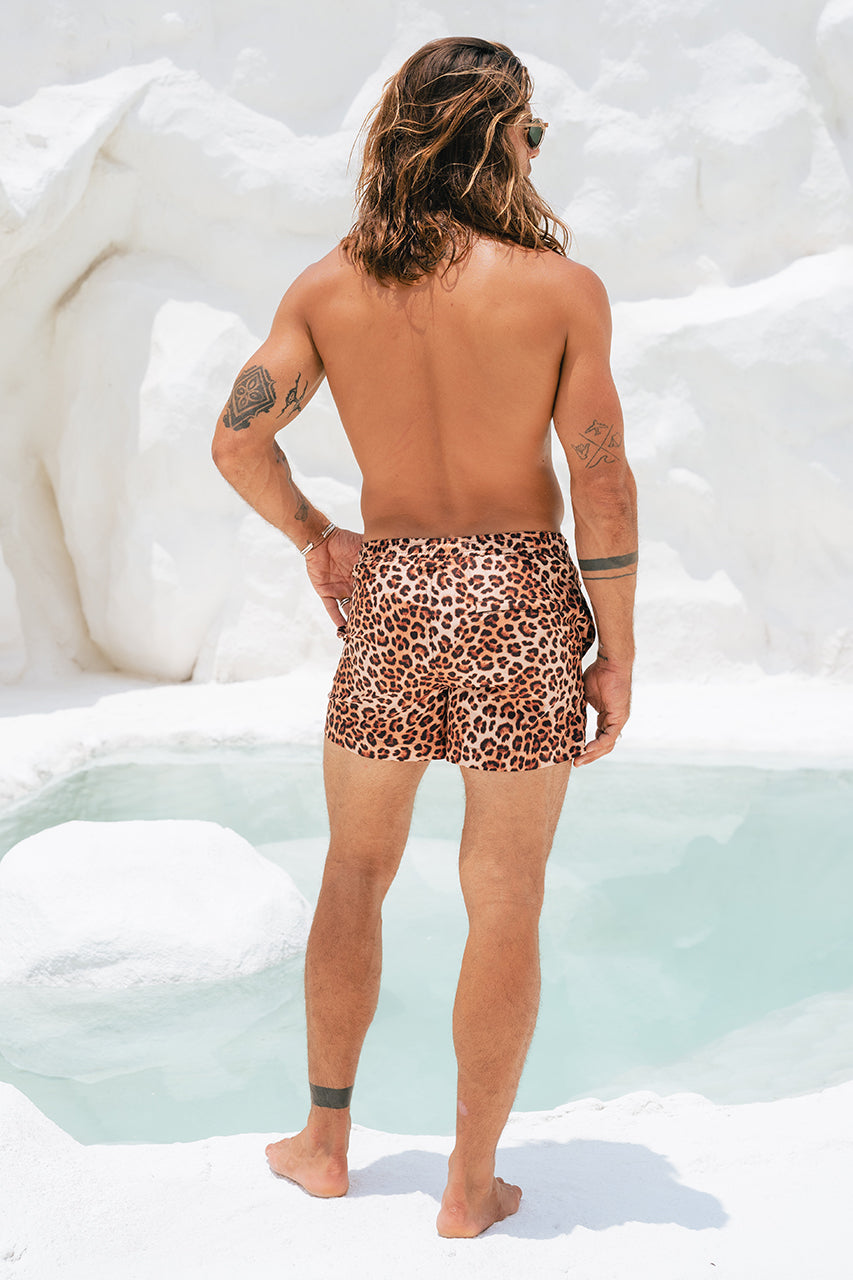 AMALFI SHORT - LEOPARD - AMALFI-SHORT-LEOPARD-_2