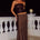 NESSA LOW WAIST MAXI SKIRT - CHOCOLATE