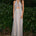 BREIZY HALTER MAXI DRESS - ESTELLA WHITE