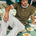 CAYDEN FITTED T-SHIRT - KHAKI