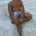 MARCEL PRINTED RACER SWIM BRIEF - KALARA BLUE
