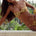 PAROS TWIST BANDEAU BIKINI TOP - EMERY GOLD